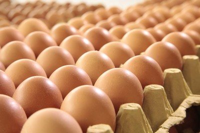 朔州鸡蛋检测价格,鸡蛋检测机构,鸡蛋检测项目,鸡蛋常规检测